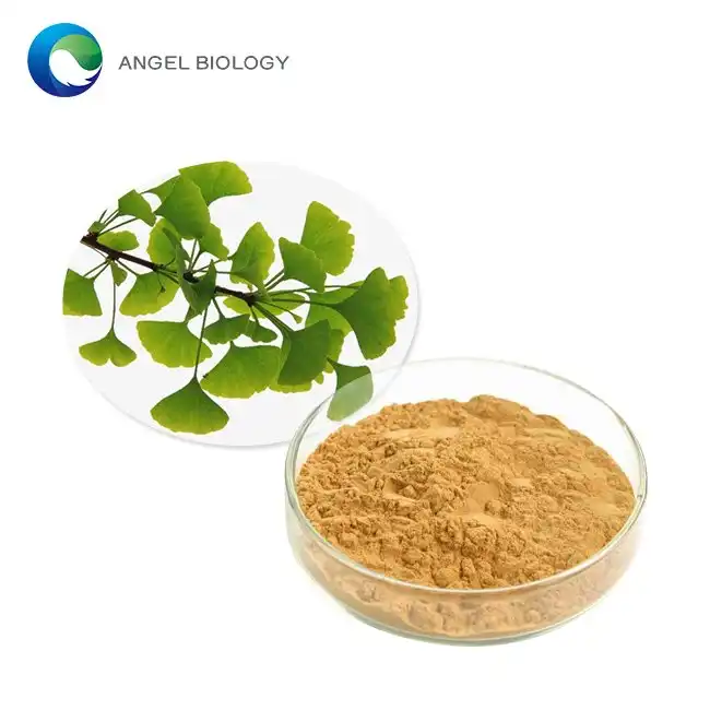 How Ginkgo Biloba Leaf Powder Boosts Memory and Cognitive Function？